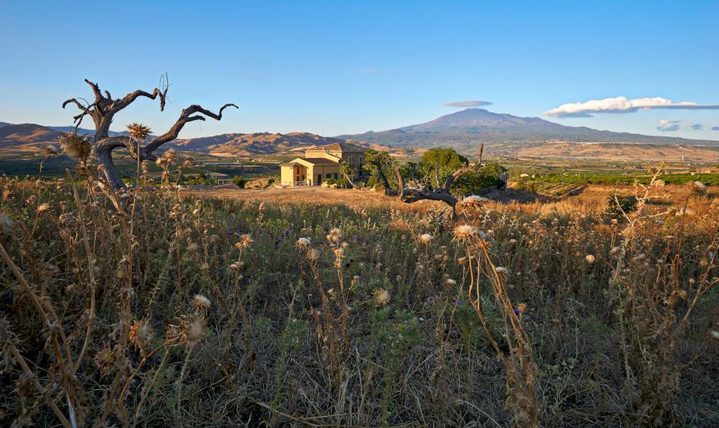 Agriturismo Conte Ruggero Villa Centuripe ภายนอก รูปภาพ